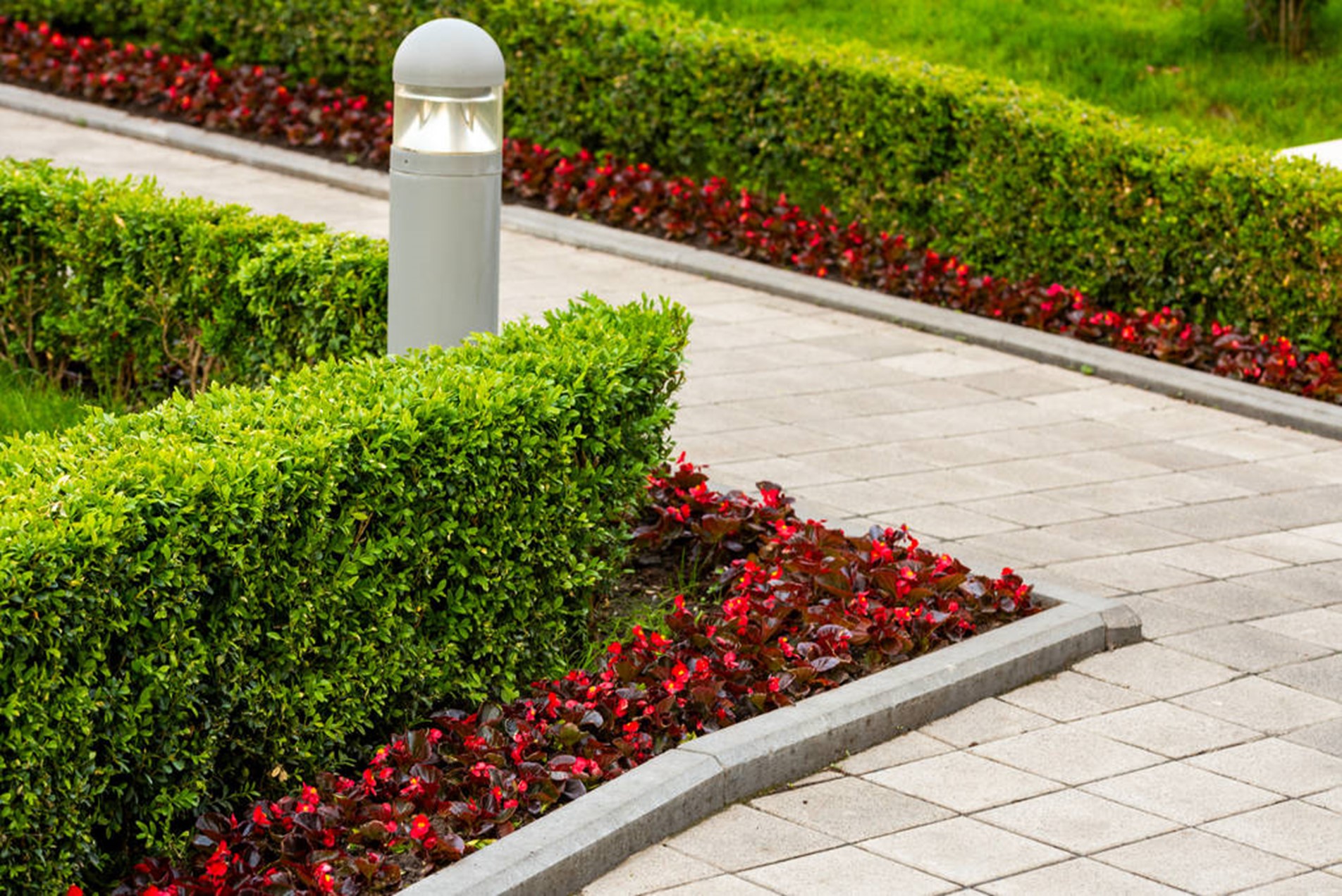Jardinagem e Paisagismo