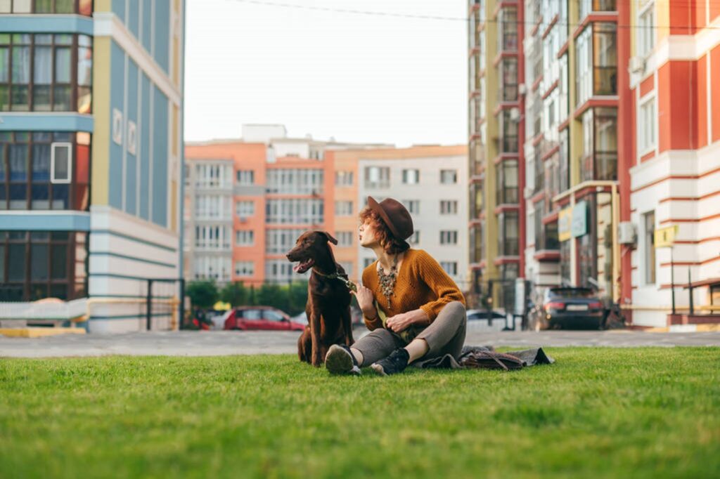 Animais de Estimação