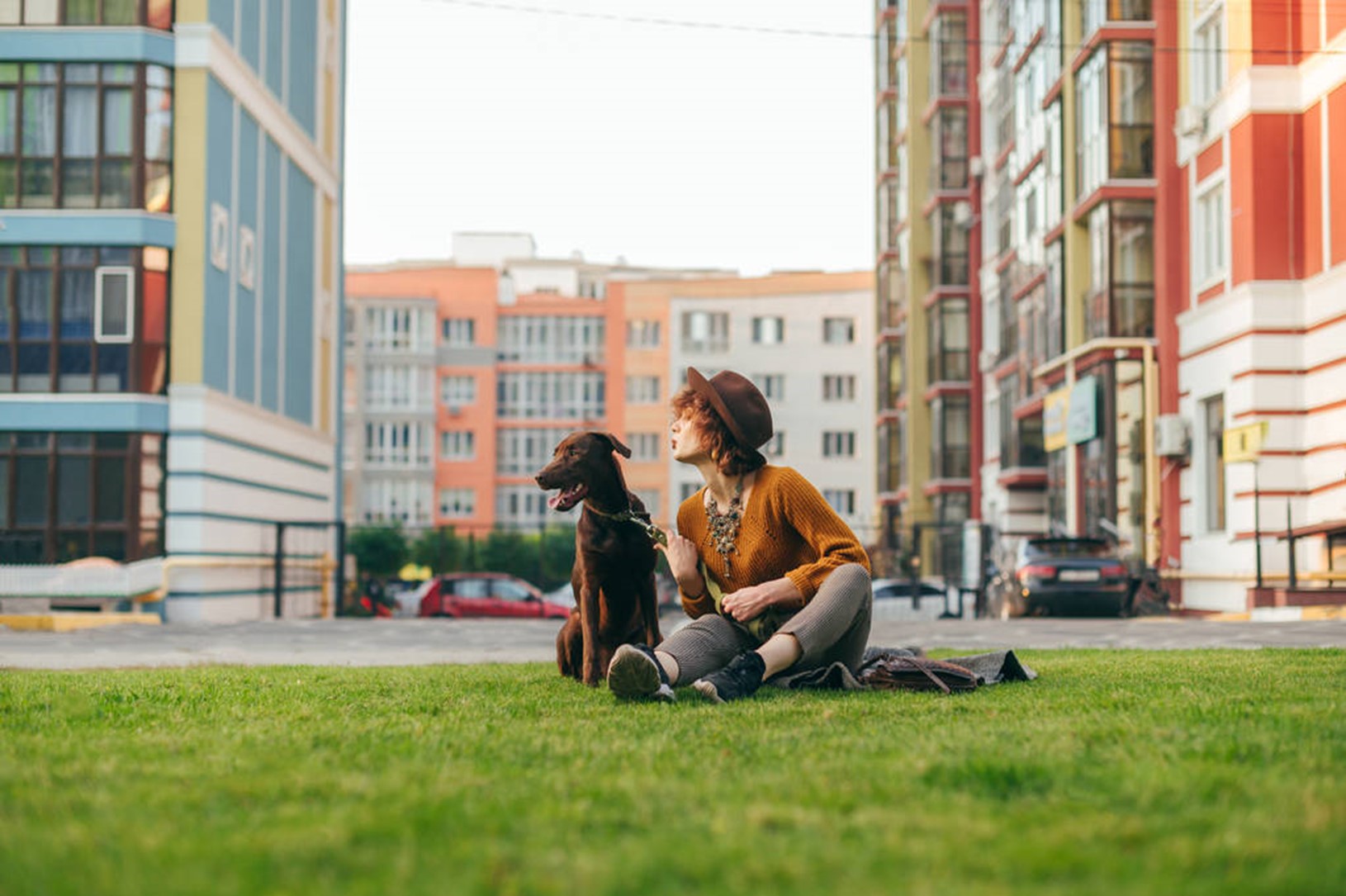 Animais de Estimação